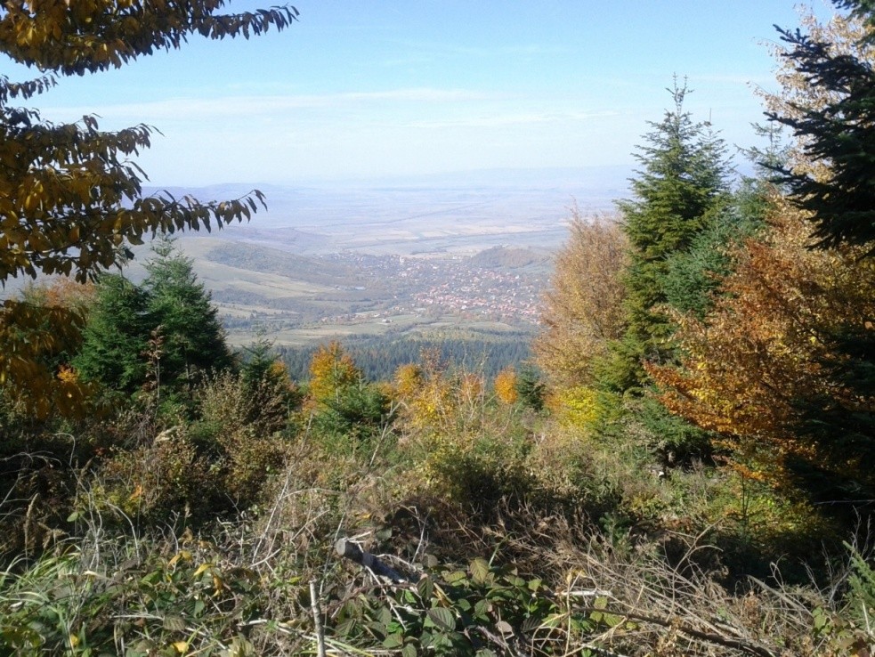 Papolci panoráma